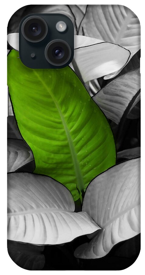 Leaf iPhone Case featuring the photograph Going Green - Dreamy by Marilyn Hunt