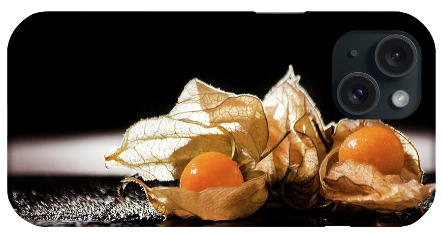 Physalis iPhone Case featuring the photograph Goldberries by Christine Sponchia