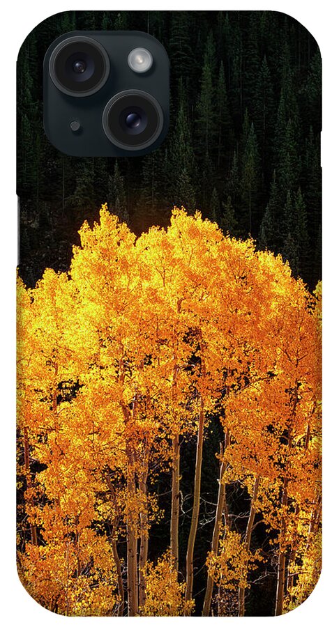 Autumn iPhone Case featuring the photograph Golden Autumn by Andrew Soundarajan