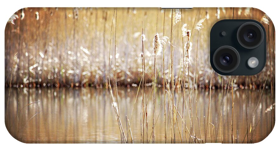 Wetland iPhone Case featuring the photograph Golden Cattails by Angie Rea