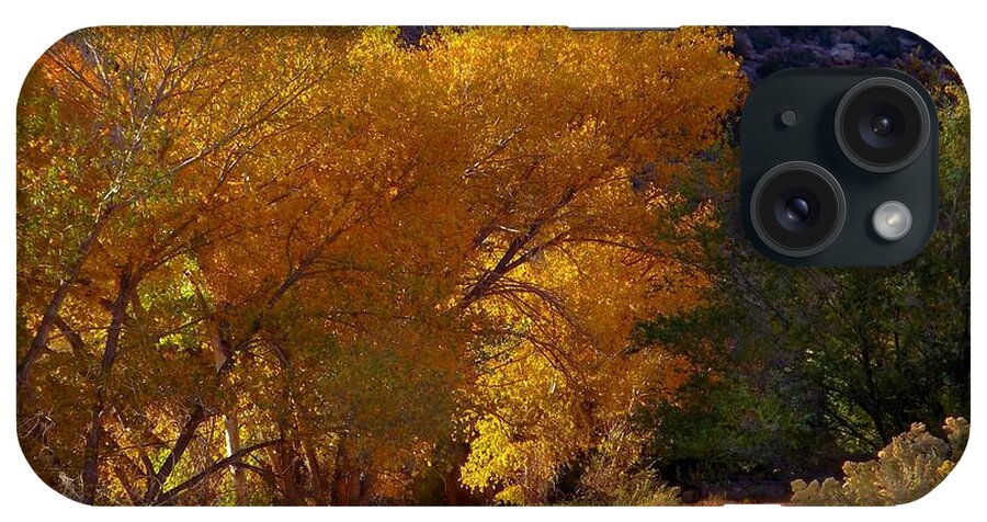 Golden Cottonwoods iPhone Case featuring the digital art Golden Cottonwoods by Annie Gibbons