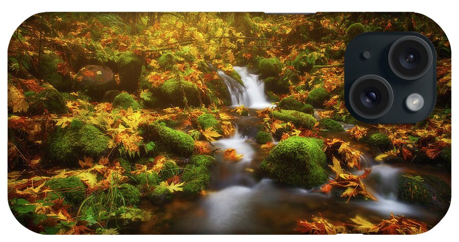 Fall iPhone Case featuring the photograph Golden Creek Cascade by Darren White
