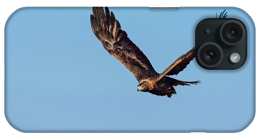 Raptor iPhone Case featuring the photograph Golden Eagle 2 by Rick Mosher