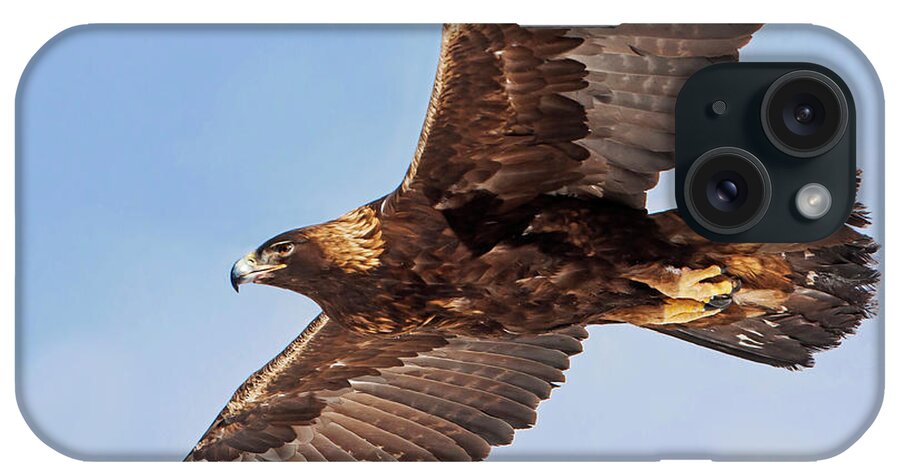 Golden Eagle iPhone Case featuring the photograph Golden Eagle Flight by Mark Miller