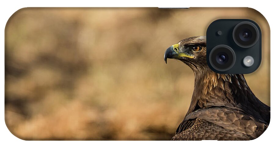 Golden Eagle iPhone Case featuring the photograph Golden Eagle by Torbjorn Swenelius