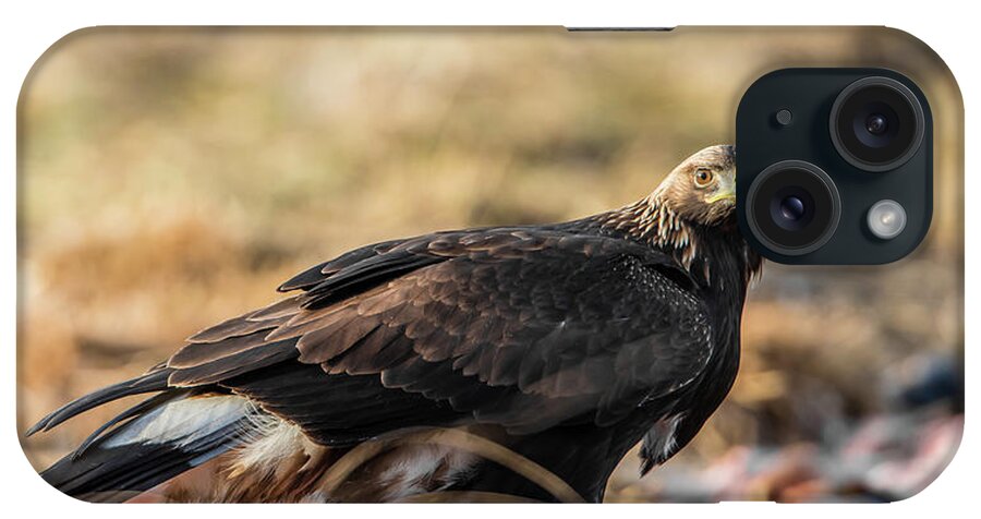 Golden Eagle iPhone Case featuring the photograph Golden Eagle's Glance by Torbjorn Swenelius
