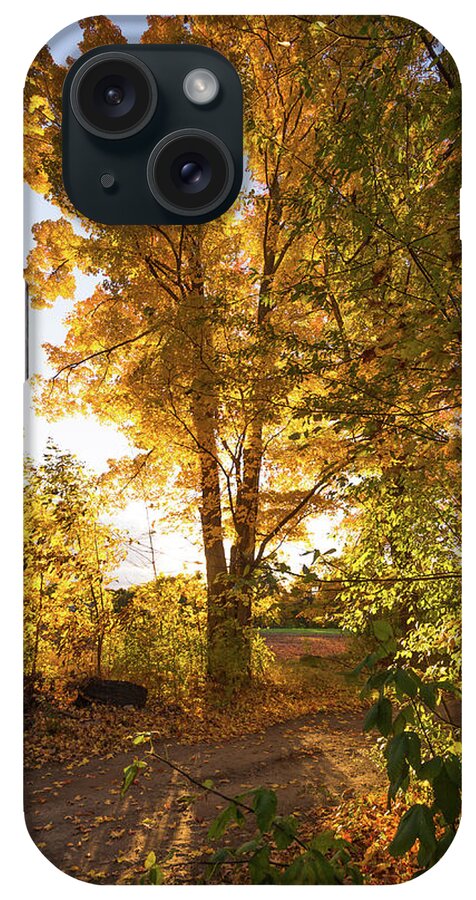 Fall iPhone Case featuring the photograph Golden Glow by Robert McKay Jones