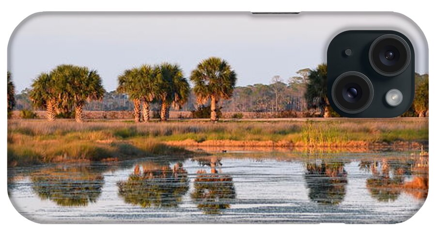 St. Marks National Wildlife Refuge iPhone Case featuring the photograph Golden Light on the St. Marks Marshes by Carla Parris