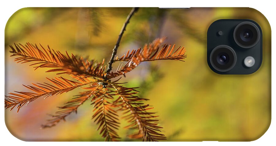 Nature iPhone Case featuring the photograph Golden October by Eva Lechner