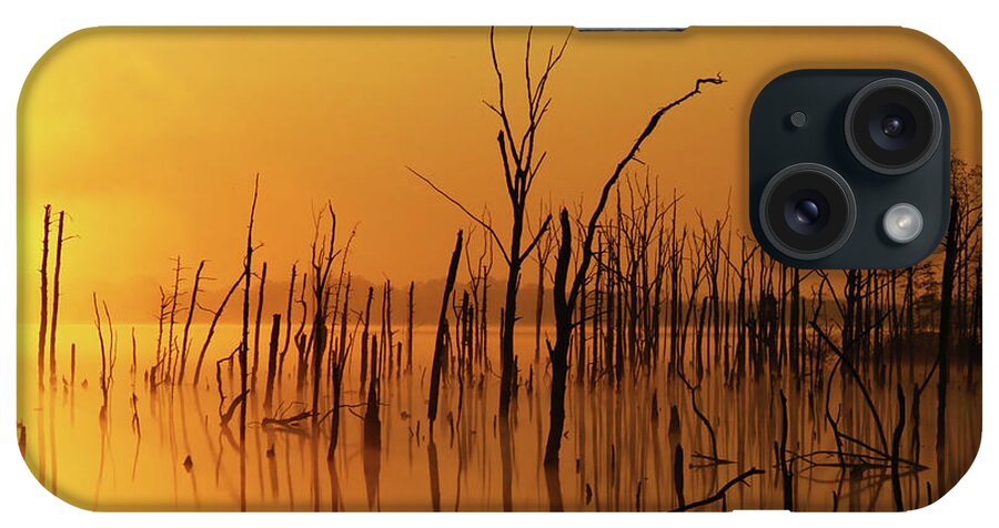 Gold iPhone Case featuring the photograph Golden Reflections by Roger Becker
