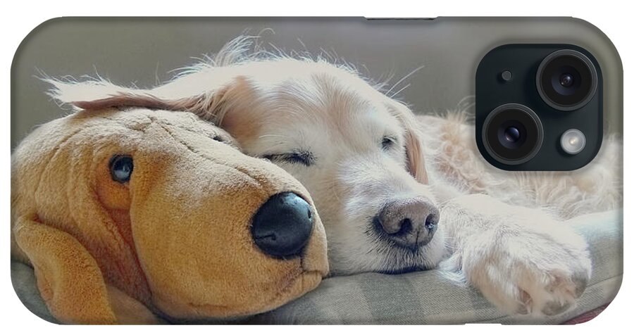 Golden Retriever iPhone Case featuring the photograph Golden Retriever Dog Sleeping with my Friend by Jennie Marie Schell
