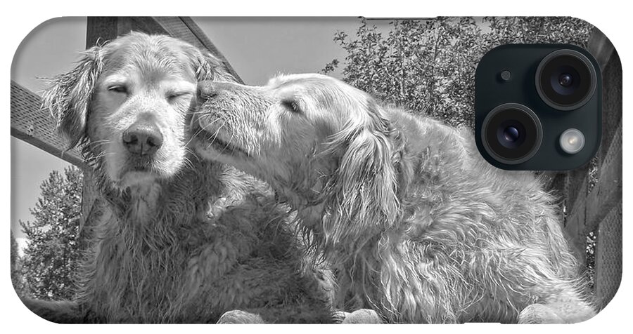 Golden Retriever iPhone Case featuring the photograph Golden Retrievers the Kiss Black and White by Jennie Marie Schell