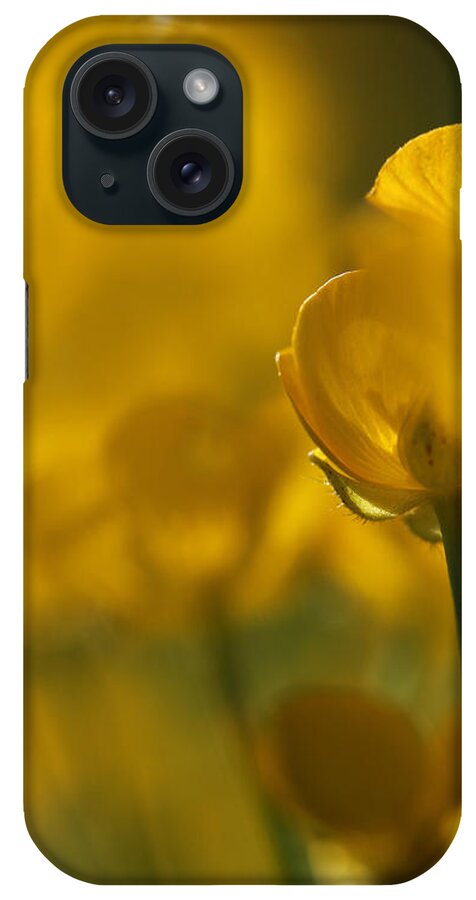 Buttercup iPhone Case featuring the photograph Golden Summer Buttercup 1 by Mo Barton
