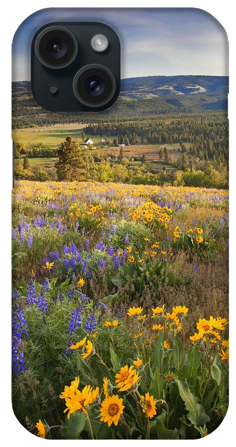 Wildflowers iPhone Case featuring the photograph Golden Valley by Michael Dawson