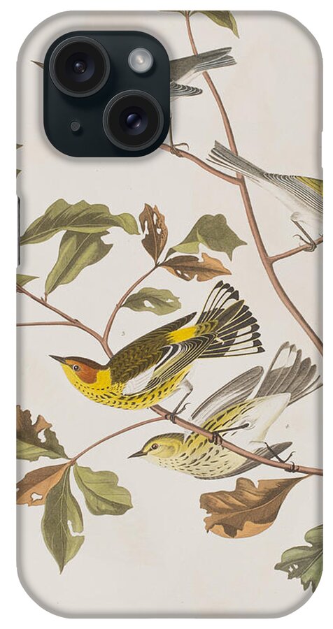 Warbler iPhone Case featuring the painting Golden winged Warbler or Cape May Warbler by John James Audubon