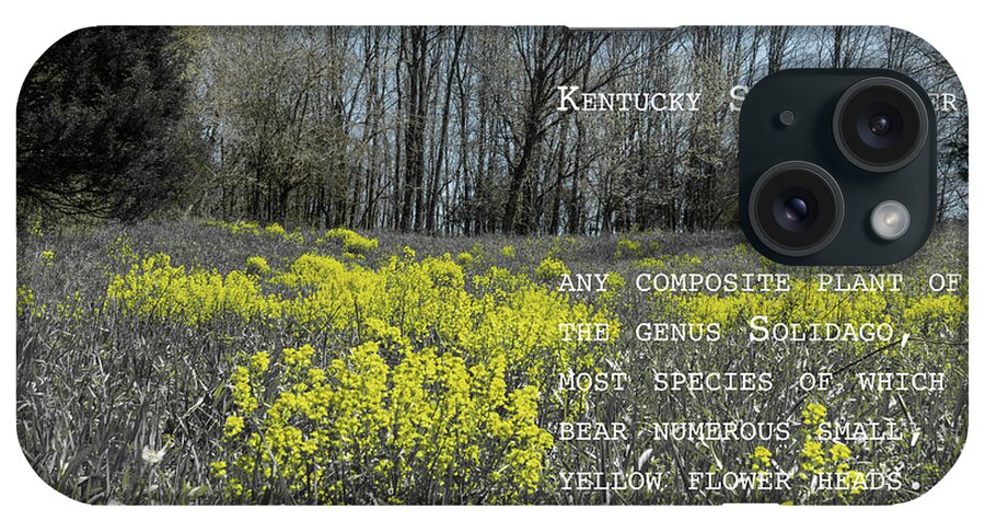 Sharon Popek iPhone Case featuring the photograph Goldenrod by Definition Kentucky by Sharon Popek
