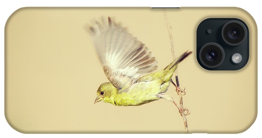 Bird iPhone Case featuring the photograph Goldfinch Flying Off by Susan Gary