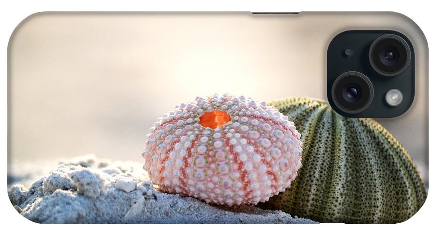 Urchin iPhone Case featuring the photograph Gone Shelling by Melanie Moraga
