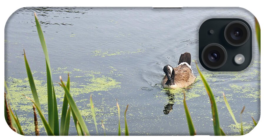 Goose iPhone Case featuring the photograph Goose on the Pond 2 by Ellen Tully