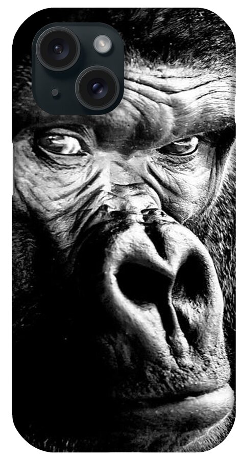 Gorilla Wall Art For Living Room iPhone Case featuring the photograph Gorilla by David Millenheft