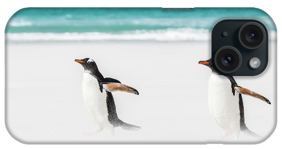 The Falklands iPhone Case featuring the photograph Gentoo penguins caught in a sand storm. by Usha Peddamatham