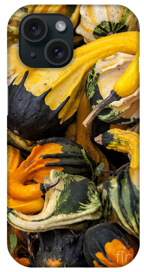 Gourds Of Color iPhone Case featuring the photograph Gourds of Color by David Millenheft