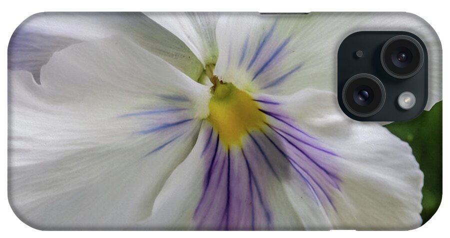 Pansy iPhone Case featuring the photograph Grace by Cathy Kovarik
