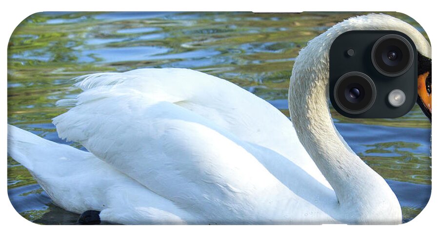 Swan iPhone Case featuring the photograph Grace by Holly Ross