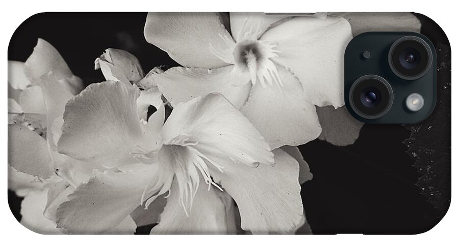 Flower iPhone Case featuring the photograph Grace in White by Brad Hodges