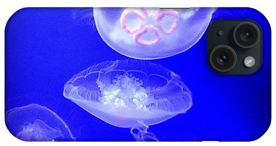 Jellyfish iPhone Case featuring the photograph Graceful Jellies - Ballerinas of the Sea by Lori Seaman
