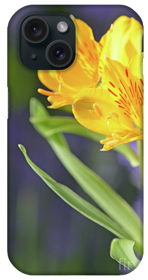 Lilies iPhone Case featuring the photograph Graceful Wild Lilies by Carol Eliassen