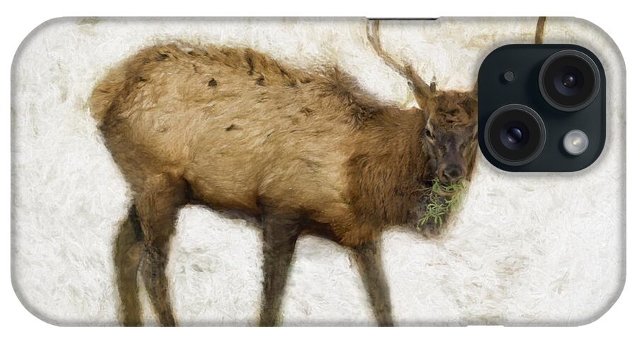 Elk iPhone Case featuring the photograph Grand Canyon Elk No. 2 Wintered by Belinda Greb