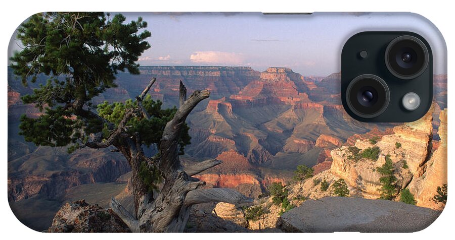 Grand Canyon iPhone Case featuring the photograph Grand Canyon, late afternoon by Kevin Shields