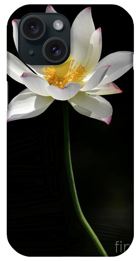 Lotus iPhone Case featuring the photograph Grand Lotus by Sabrina L Ryan