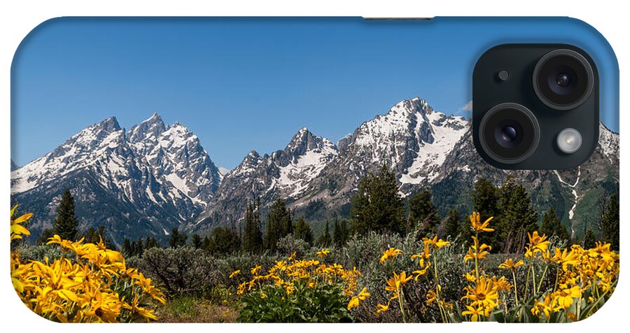 Grand Tetons iPhone Case featuring the photograph Grand Teton Arrow Leaf Balsamroot by Brian Harig