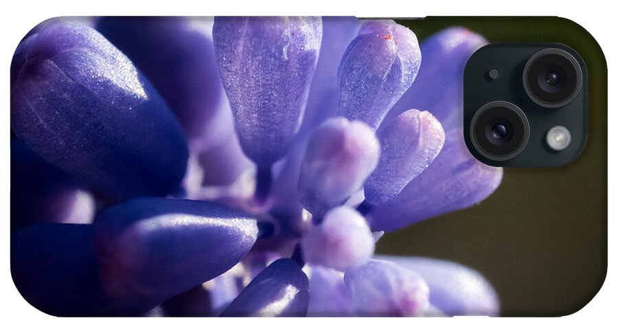 Jay Stockhaus iPhone Case featuring the photograph Grape Hyacinth by Jay Stockhaus