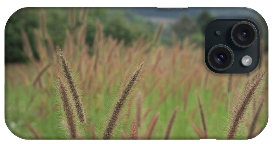 Thailand iPhone Case featuring the photograph Grass by Ivan Franklin