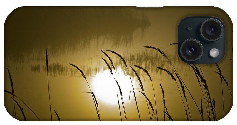 Grasses iPhone Case featuring the photograph Grass Silhouettes by Albert Seger