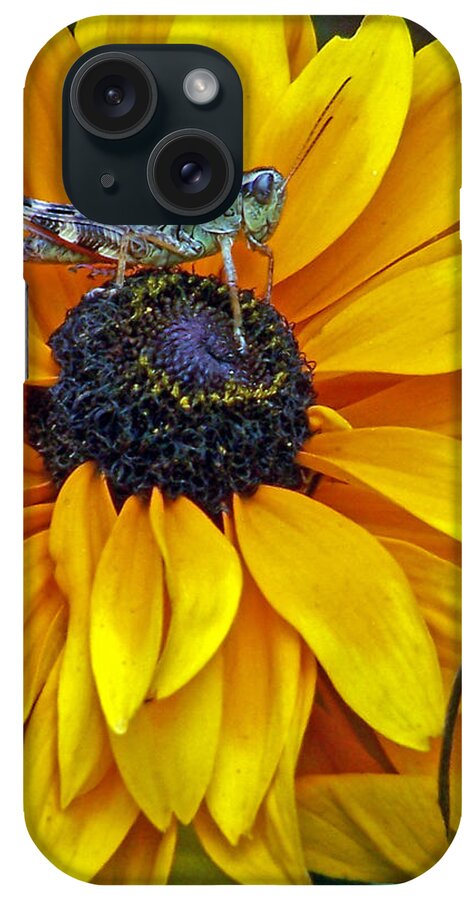 Insects iPhone Case featuring the photograph Grasshopper and Susan by Jennifer Robin