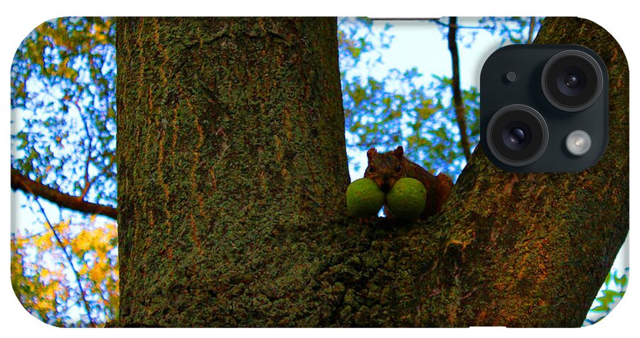 Squirrel iPhone Case featuring the photograph Grateful Tree Squirrel by Michael Rucker