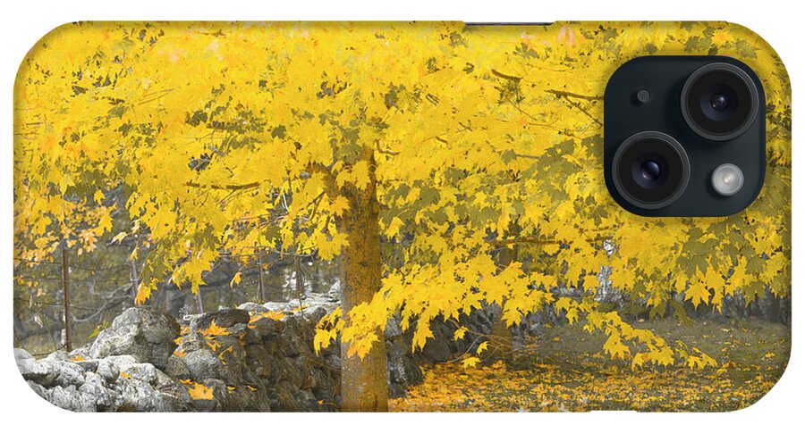 Fall. Maine iPhone Case featuring the photograph Gravitational Inevitability by Jeff Cooper