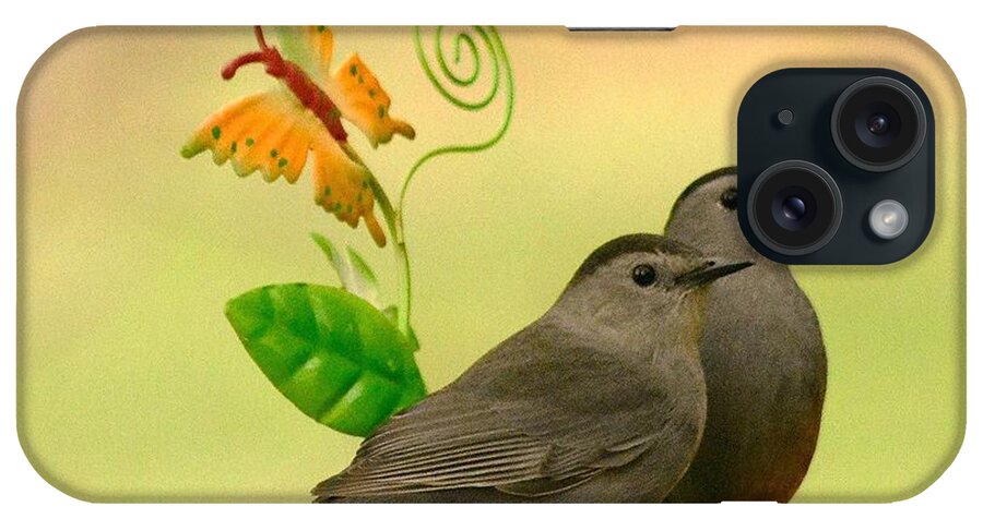 Gray Catbirds iPhone Case featuring the photograph Gray Catbirds by Judy Genovese