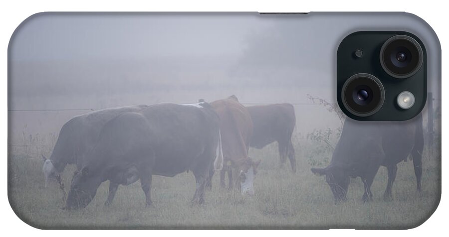 Cows iPhone Case featuring the photograph Grazing cows in the mist by Torbjorn Swenelius