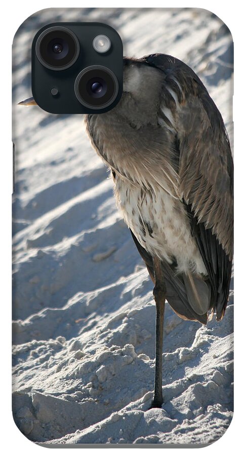 Florida iPhone Case featuring the photograph Great Blue Heron by Kathleen Scanlan