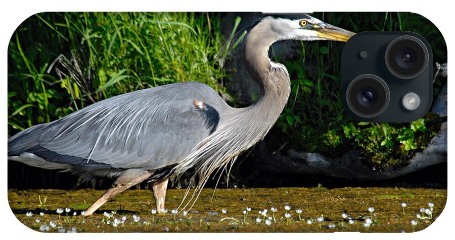 Great Blue Heron iPhone Case featuring the photograph Great Blue Heron by Larry Ricker