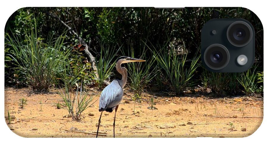 Nature iPhone Case featuring the photograph Great Blue Heron on Beach by Sheila Brown