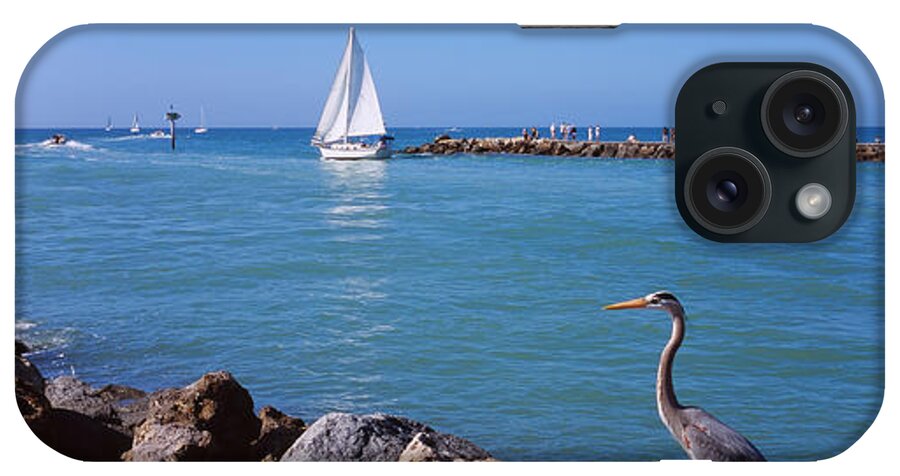 Photography iPhone Case featuring the photograph Great Blue Heron Perching On A Rocks by Panoramic Images