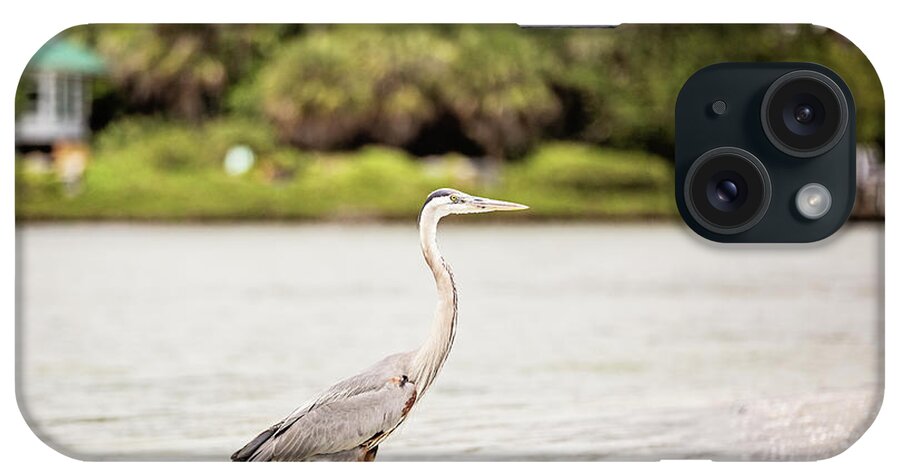 Great Blue Heron iPhone Case featuring the photograph Great Blue Heron by Scott Pellegrin