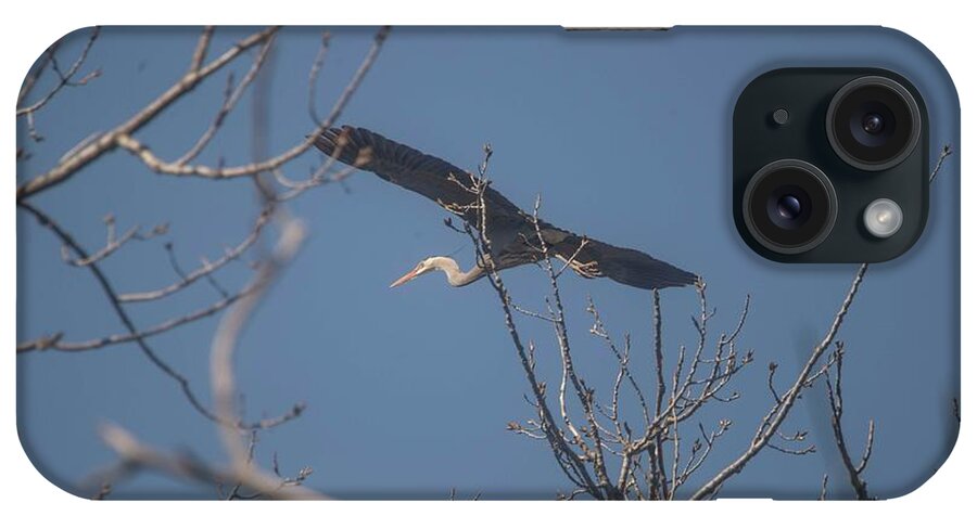 Great Blue Heron iPhone Case featuring the photograph Great Blue in flight by David Bearden