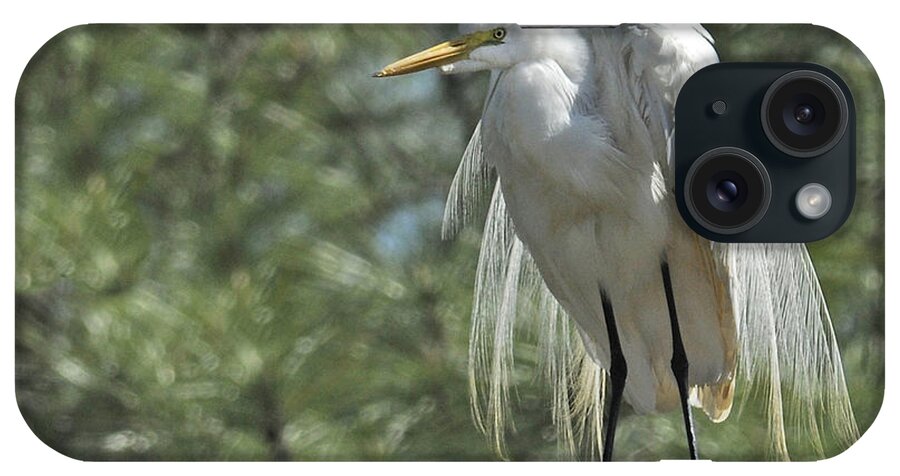 Great Egret iPhone Case featuring the photograph Great Egret II by Keith Lovejoy